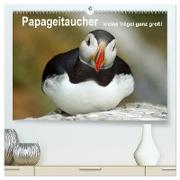 Papageitaucher - kleine Vögel ganz groß! (hochwertiger Premium Wandkalender 2024 DIN A2 quer), Kunstdruck in Hochglanz