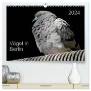 Vögel in Berlin (hochwertiger Premium Wandkalender 2024 DIN A2 quer), Kunstdruck in Hochglanz