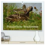 Possierliche Stockenten (hochwertiger Premium Wandkalender 2024 DIN A2 quer), Kunstdruck in Hochglanz