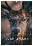 Wilde Nachbarn: Rotwild (Wandkalender 2024 DIN A2 hoch), CALVENDO Monatskalender