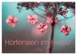 Hortensien im Herbst (Wandkalender 2024 DIN A2 quer), CALVENDO Monatskalender