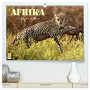 Afrika - Zauber der Wildnis (hochwertiger Premium Wandkalender 2024 DIN A2 quer), Kunstdruck in Hochglanz