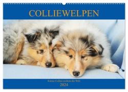 Colliewelpen - kleine Collies erobern die Welt (Wandkalender 2024 DIN A2 quer), CALVENDO Monatskalender