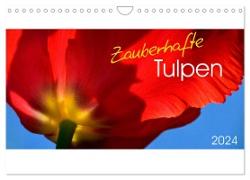 Zauberhafte Tulpen (Wandkalender 2024 DIN A4 quer), CALVENDO Monatskalender