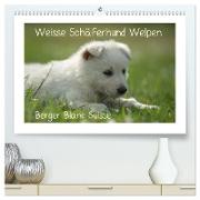 Weisse Schäferhund Welpen - Berger Blanc Suisse (hochwertiger Premium Wandkalender 2024 DIN A2 quer), Kunstdruck in Hochglanz