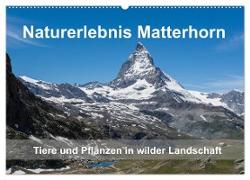 Naturerlebnis Matterhorn (Wandkalender 2024 DIN A2 quer), CALVENDO Monatskalender
