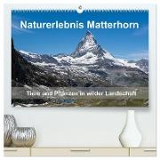 Naturerlebnis Matterhorn (hochwertiger Premium Wandkalender 2024 DIN A2 quer), Kunstdruck in Hochglanz