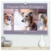 Elegante Silken Windsprite (hochwertiger Premium Wandkalender 2024 DIN A2 quer), Kunstdruck in Hochglanz