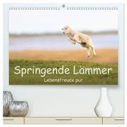 Springende Lämmer: Lebensfreude pur (hochwertiger Premium Wandkalender 2024 DIN A2 quer), Kunstdruck in Hochglanz