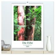 Die Eibe - Der sagenumwobene Baum (hochwertiger Premium Wandkalender 2024 DIN A2 hoch), Kunstdruck in Hochglanz