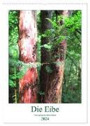 Die Eibe - Der sagenumwobene Baum (Wandkalender 2024 DIN A2 hoch), CALVENDO Monatskalender