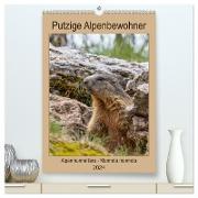 Putzige Alpenbewohner - Alpenmurmeltiere (hochwertiger Premium Wandkalender 2024 DIN A2 hoch), Kunstdruck in Hochglanz