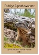 Putzige Alpenbewohner - Alpenmurmeltiere (Wandkalender 2024 DIN A2 hoch), CALVENDO Monatskalender