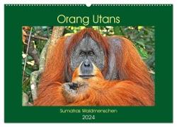 Orang Utans Sumatras Waldmenschen (Wandkalender 2024 DIN A2 quer), CALVENDO Monatskalender