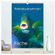 Portraitaufnahmen - Fische (hochwertiger Premium Wandkalender 2024 DIN A2 hoch), Kunstdruck in Hochglanz