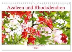 Azaleen und Rhododendren Blütenbilder (Wandkalender 2024 DIN A4 quer), CALVENDO Monatskalender