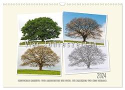 Vier Jahreszeiten der Eiche. (Wandkalender 2024 DIN A3 quer), CALVENDO Monatskalender