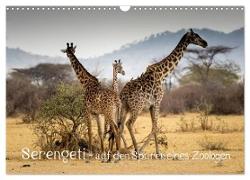 Serengeti - auf den Spuren eines Zoologen (Wandkalender 2024 DIN A3 quer), CALVENDO Monatskalender