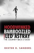 HOODWINKED BAMBOOZLED AND LED ASTRAY