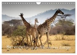 Serengeti - auf den Spuren eines Zoologen (Wandkalender 2024 DIN A4 quer), CALVENDO Monatskalender
