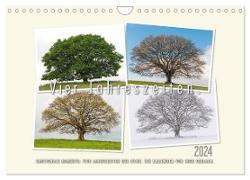 Vier Jahreszeiten der Eiche. (Wandkalender 2024 DIN A4 quer), CALVENDO Monatskalender