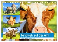 Rindvieh auf der Alm. Kühe im Bergsommer (Wandkalender 2024 DIN A4 quer), CALVENDO Monatskalender