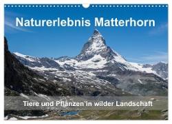 Naturerlebnis Matterhorn (Wandkalender 2024 DIN A3 quer), CALVENDO Monatskalender
