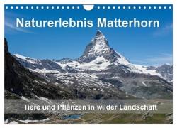 Naturerlebnis Matterhorn (Wandkalender 2024 DIN A4 quer), CALVENDO Monatskalender