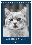 Wilde Katzen - Korsikas Samtpfoten (Tischkalender 2024 DIN A5 hoch), CALVENDO Monatskalender