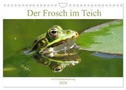 Der Frosch im Teich - auf Froschbeobachtung (Wandkalender 2024 DIN A4 quer), CALVENDO Monatskalender