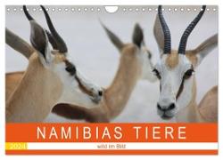 Namibias Tiere - wild im Bild (Wandkalender 2024 DIN A4 quer), CALVENDO Monatskalender