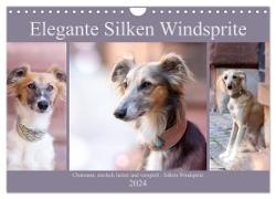Elegante Silken Windsprite (Wandkalender 2024 DIN A4 quer), CALVENDO Monatskalender