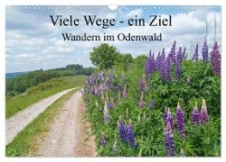 Viele Wege - ein Ziel Wandern im Odenwald (Wandkalender 2024 DIN A3 quer), CALVENDO Monatskalender