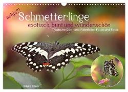 achja?! Schmetterlinge, exotisch, bunt und wunderschön (Wandkalender 2024 DIN A3 quer), CALVENDO Monatskalender