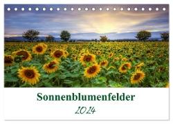 Sonnenblumenfelder (Tischkalender 2024 DIN A5 quer), CALVENDO Monatskalender