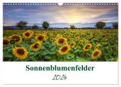Sonnenblumenfelder (Wandkalender 2024 DIN A3 quer), CALVENDO Monatskalender