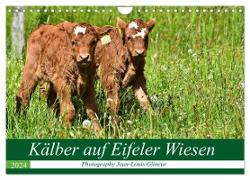 Kälber auf Eifeler Wiesen (Wandkalender 2024 DIN A4 quer), CALVENDO Monatskalender