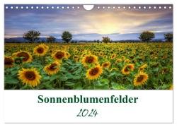 Sonnenblumenfelder (Wandkalender 2024 DIN A4 quer), CALVENDO Monatskalender