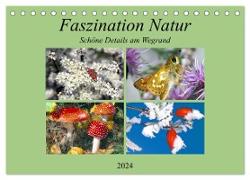 Faszination Natur - Schöne Details am Wegrand (Tischkalender 2024 DIN A5 quer), CALVENDO Monatskalender