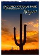 SAGUARO NATIONAL PARK Wüstenimpressionen aus Arizona (Wandkalender 2024 DIN A2 hoch), CALVENDO Monatskalender