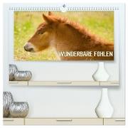 Wunderbare Fohlen (hochwertiger Premium Wandkalender 2024 DIN A2 quer), Kunstdruck in Hochglanz