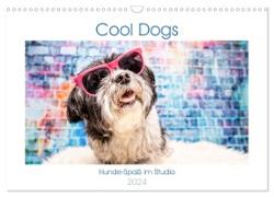 Cool Dogs - Hunde-Spaß im Studio (Wandkalender 2024 DIN A3 quer), CALVENDO Monatskalender