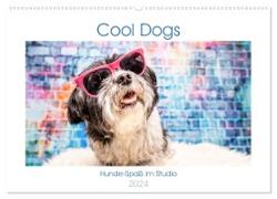 Cool Dogs - Hunde-Spaß im Studio (Wandkalender 2024 DIN A2 quer), CALVENDO Monatskalender