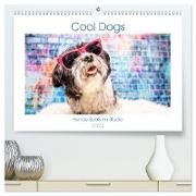 Cool Dogs - Hunde-Spaß im Studio (hochwertiger Premium Wandkalender 2024 DIN A2 quer), Kunstdruck in Hochglanz