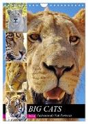 BIG CATS Fazinierende Nah-Portraits (Wandkalender 2024 DIN A4 hoch), CALVENDO Monatskalender