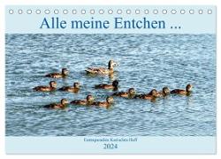 Alle meine Entchen ... Entenparadies Kurisches Haff (Tischkalender 2024 DIN A5 quer), CALVENDO Monatskalender