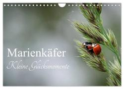 Marienkäfer - kleine Glücksmomente (Wandkalender 2024 DIN A4 quer), CALVENDO Monatskalender