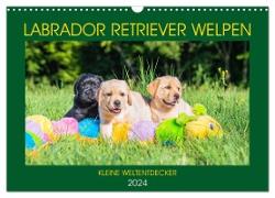 Labrador Retriever Welpen - Kleine Weltentdecker (Wandkalender 2024 DIN A3 quer), CALVENDO Monatskalender