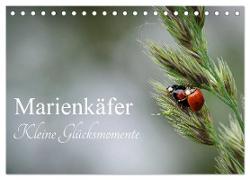 Marienkäfer - kleine Glücksmomente (Tischkalender 2024 DIN A5 quer), CALVENDO Monatskalender