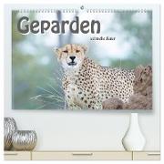 Geparden - schnelle Jäger (hochwertiger Premium Wandkalender 2024 DIN A2 quer), Kunstdruck in Hochglanz